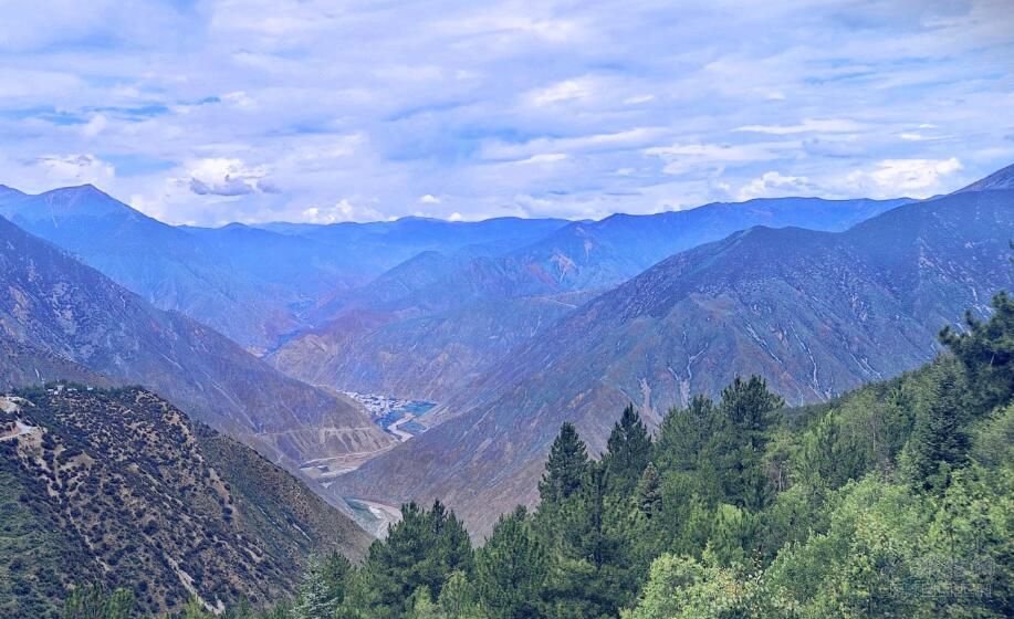 跳水群星现身知音号 郭晶晶盛装出席